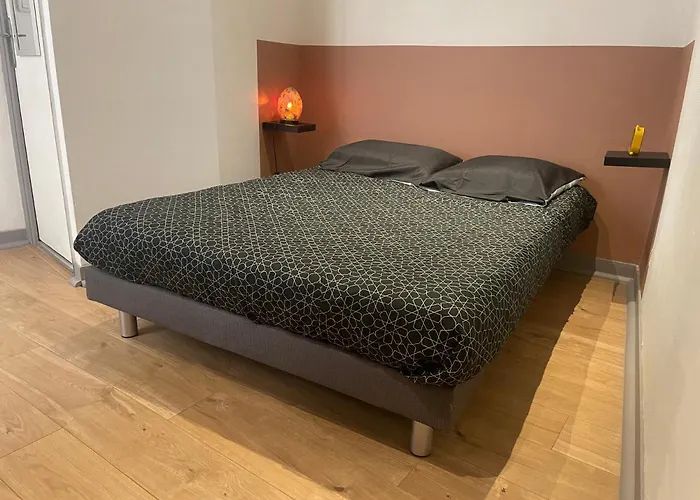 Apartment Cosy En Hyper Centre Toulouse