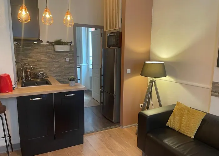 Apartman Cosy En Hyper Centre Toulouse
